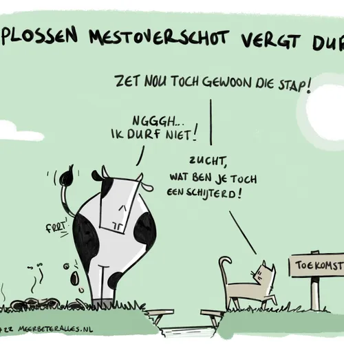 Grote schijterds