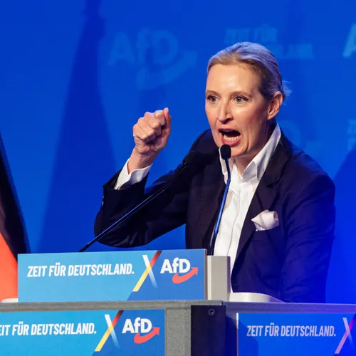 Beoogd bondskanselier Merz opent deur voor AfD-steun bij migratievoorstellen