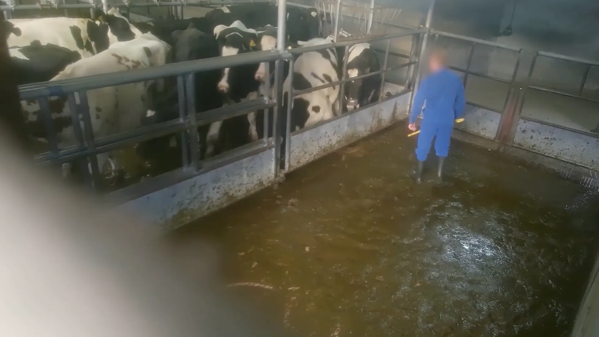 Schermafbeelding 2025-12-10 om 20.11.51