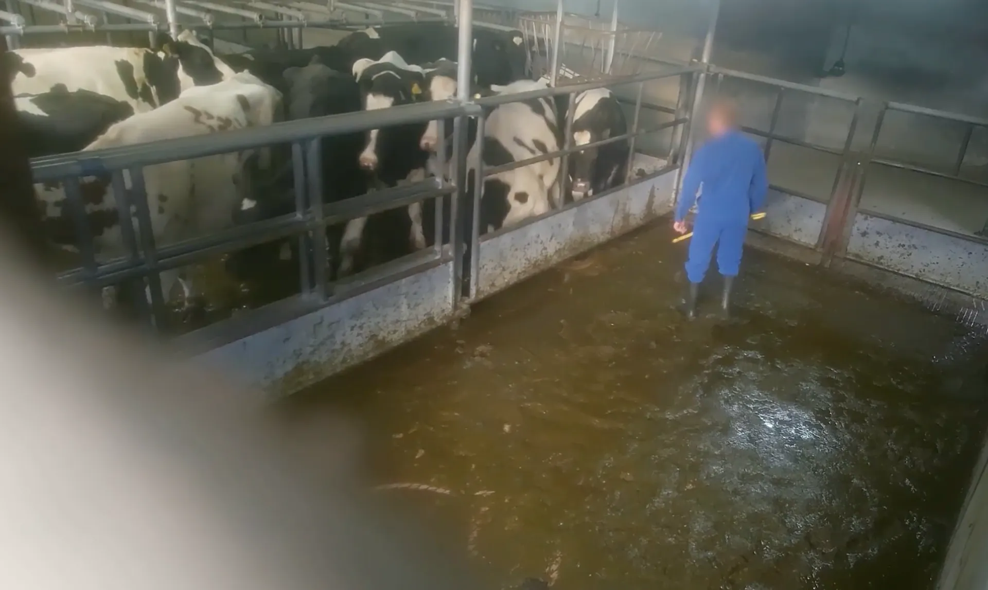 Afbeelding van Oproep aan alle boeren