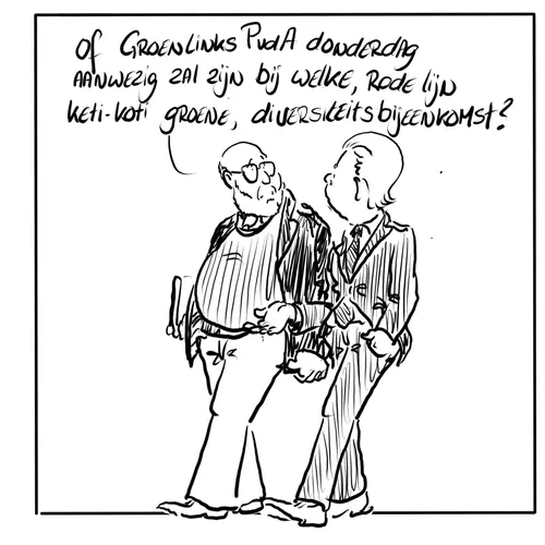 Herkansing om tegen asielwetten van Wilders te stemmen