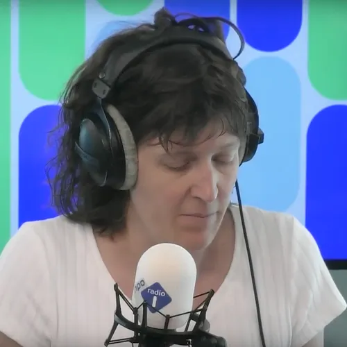 'Stop met het bejubelen van de Paus'
