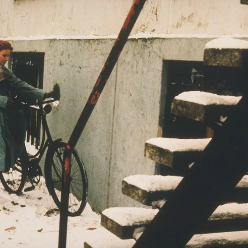 Het meisje met het rode haar