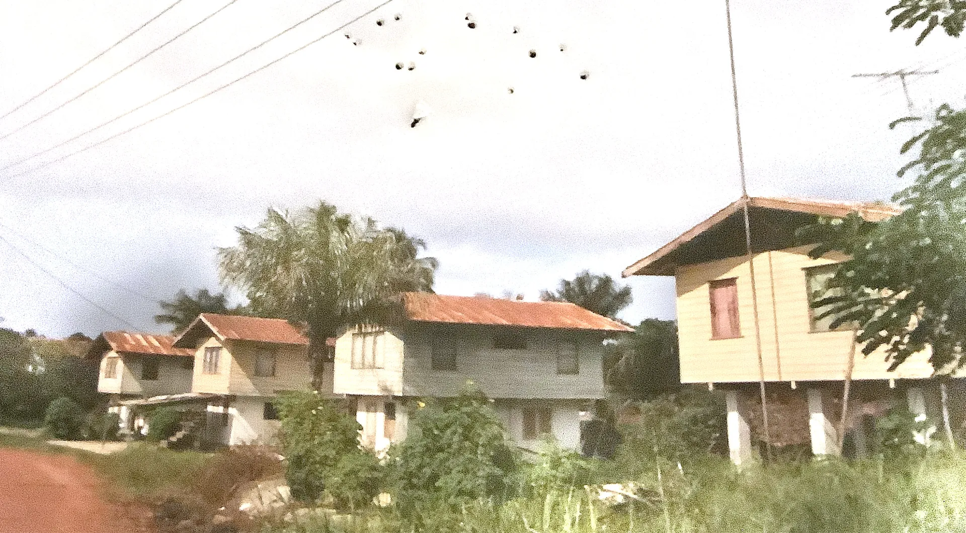 Afbeelding van Omdat Nederland nooit van Suriname heeft gehouden is er op uiterst liefdeloze wijze afscheid genomen