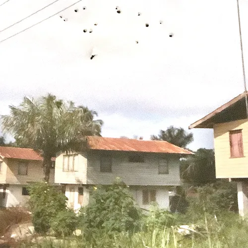 Omdat Nederland nooit van Suriname heeft gehouden is er op uiterst liefdeloze wijze afscheid genomen