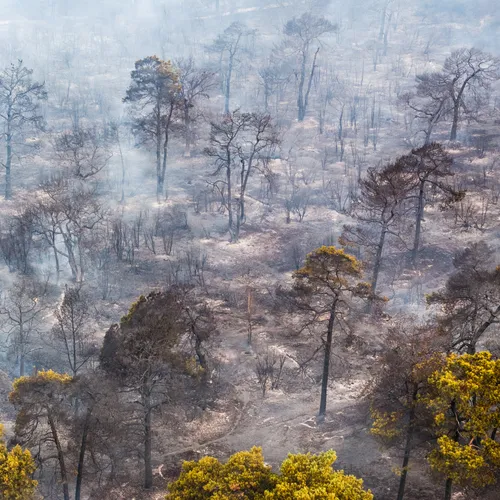 Natuurbrand Noord-Limburg maandagnacht vijf keer zo groot geworden, nog niet onder controle
