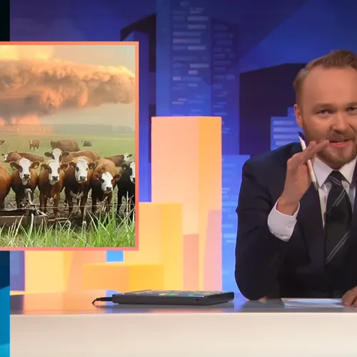Arjen Lubach en de kaasparadox: cognitieve dissonantie op het menu