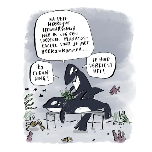Massagesalon voor orca’s