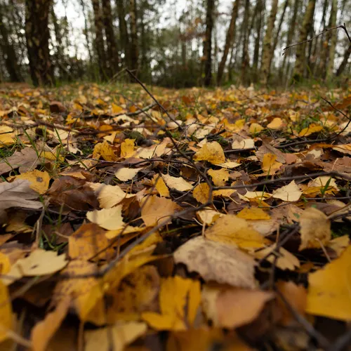 Het beste wat je voor de natuur kunt doen kost helemaal niets