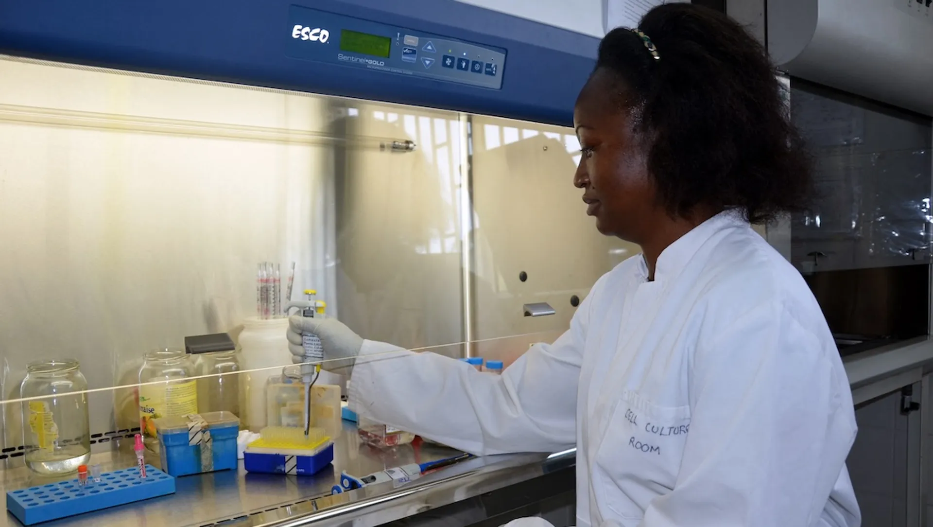 Afbeelding van De eerste ontwikkelingswerker