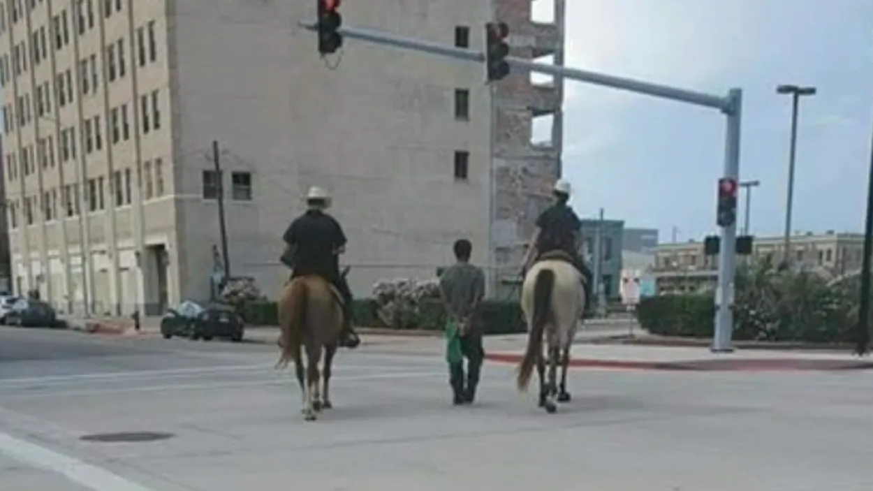galvestonpolitietepaard