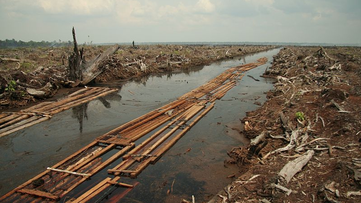 800px-Riau_deforestation_2006