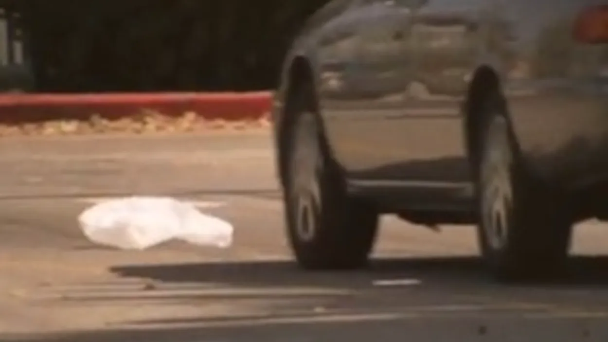 Mockumentary De eenzame trek van de majestueuze plastic tas Joop