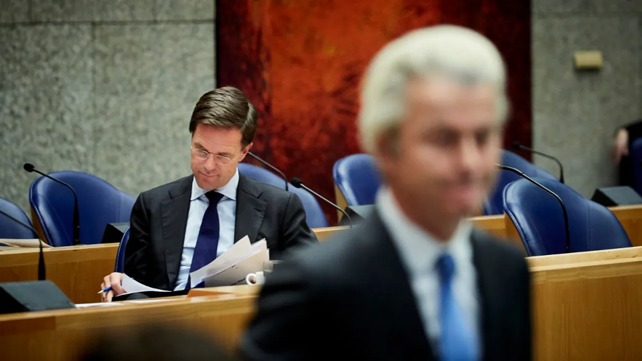 vvdpvv