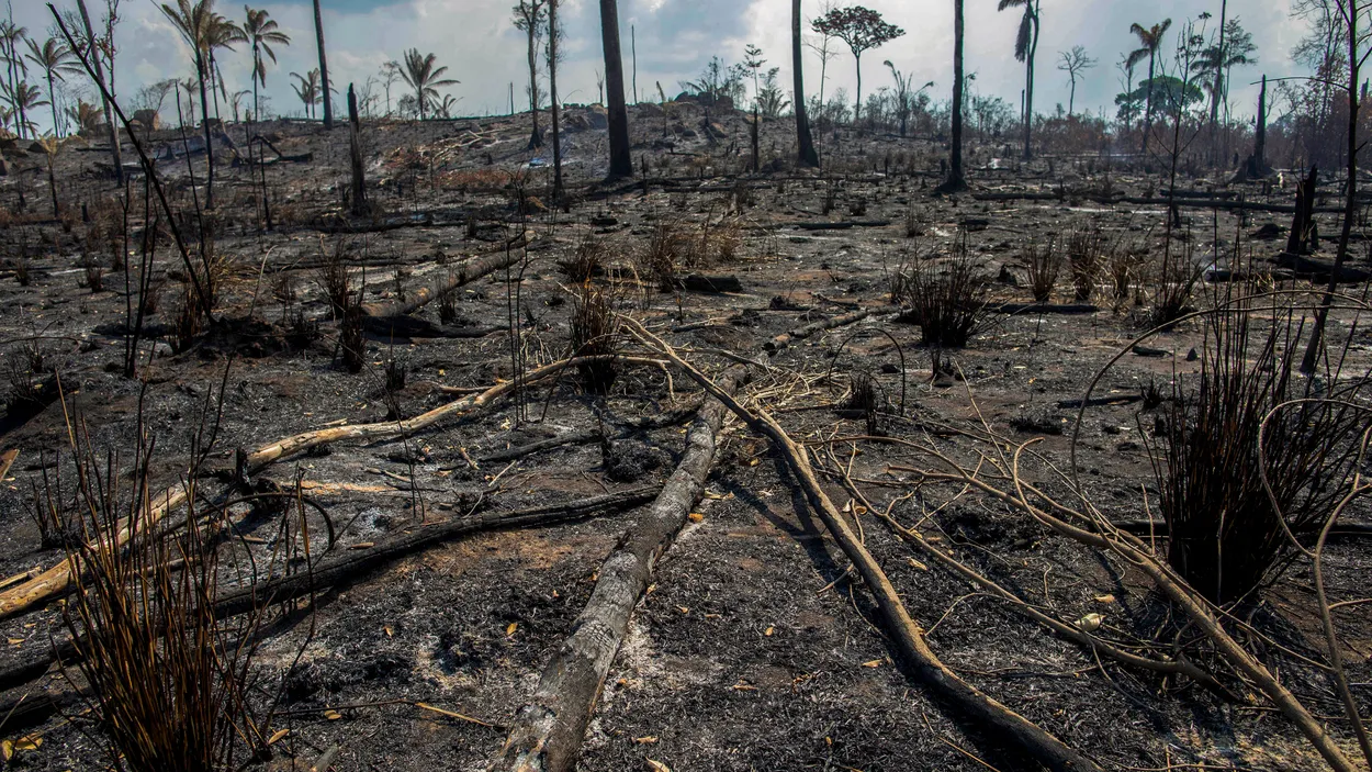 BRAZIL - FIRE - AMAZON
