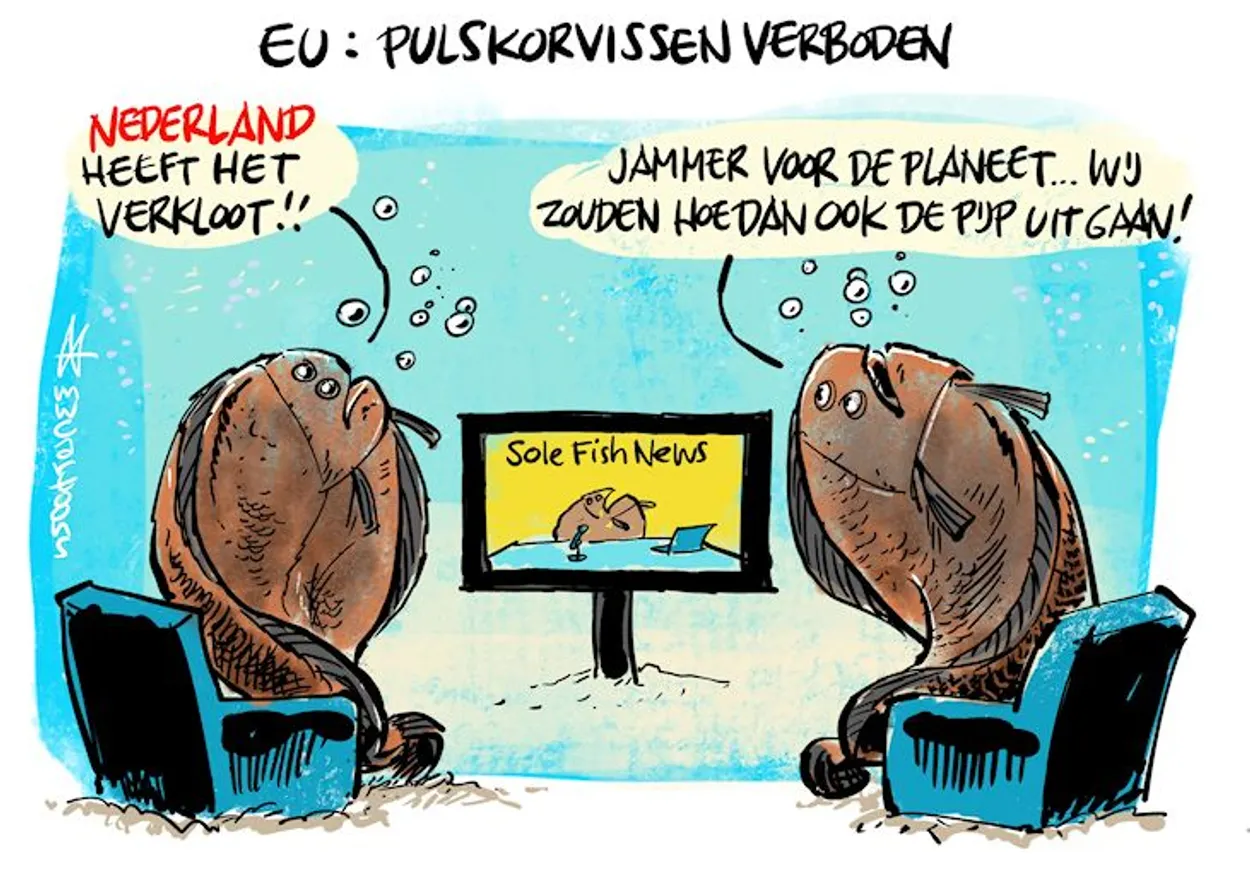 De vis wordt duur betaald - Joop - BNNVARA