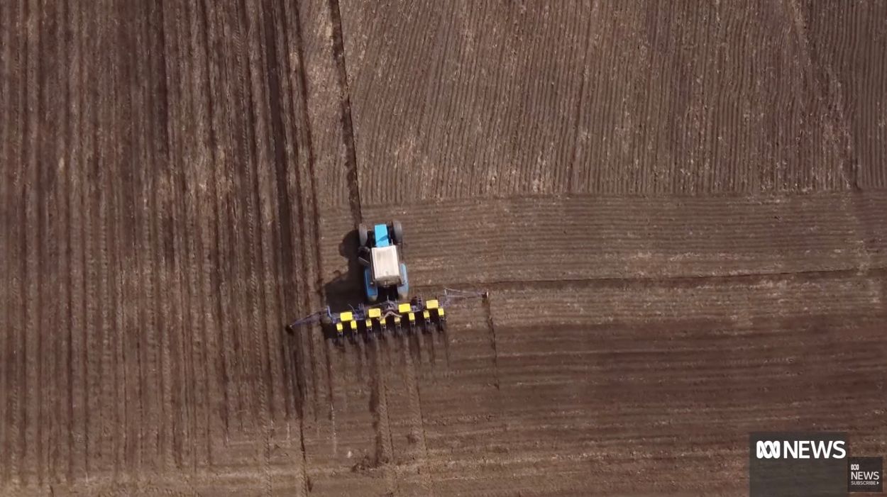 Afbeelding van De strijd van Oekraïense boeren om de bevolking te blijven voeden