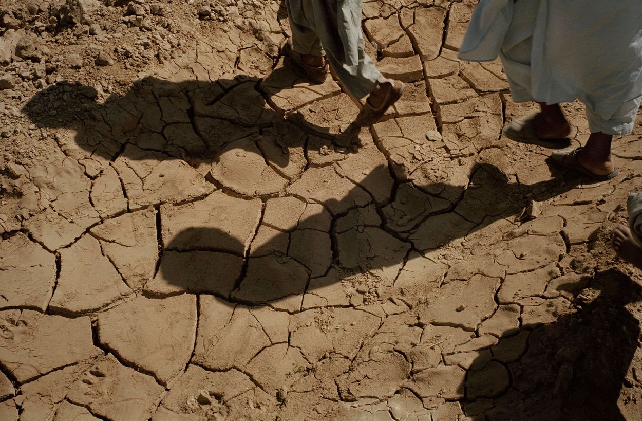 Afbeelding van Afghanistan wacht een hongersnood waarvan we tot hier de gevolgen zullen merken