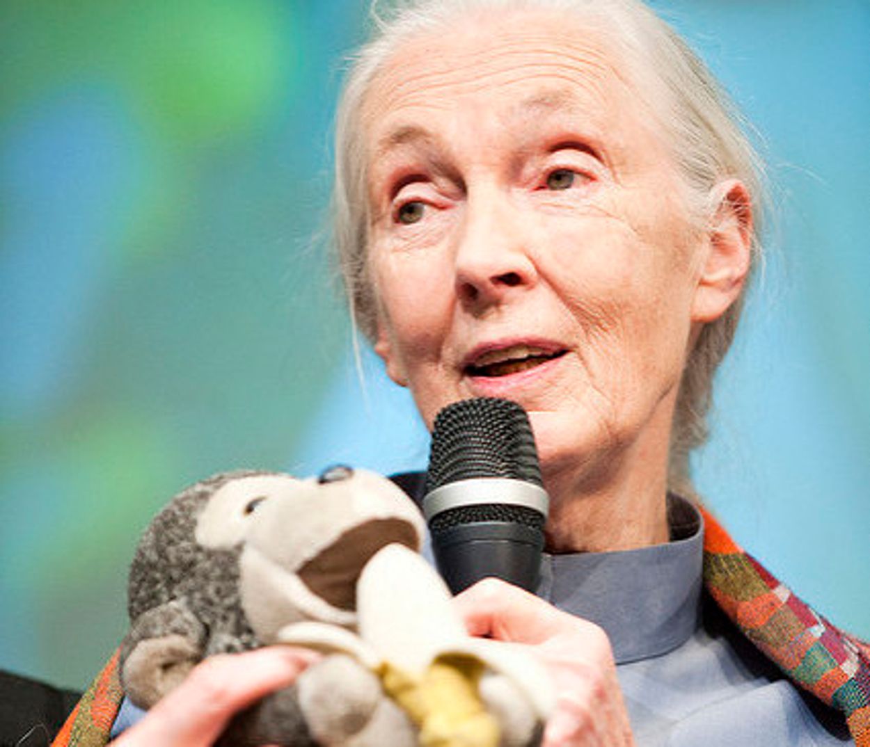 Afbeelding van Jane Goodall doet duit in zakje: 'Harambe lijkt arm om kind te leggen'