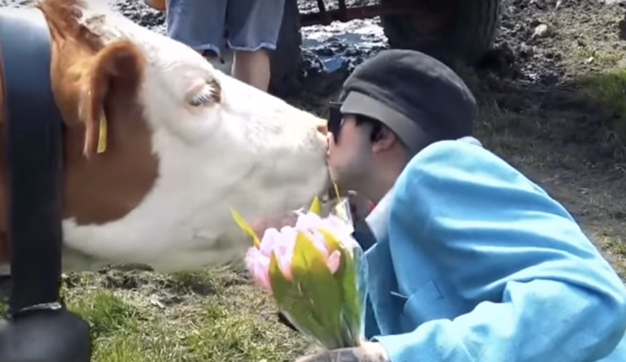 Afbeelding van Oostenrijkse overheid waarschuwt: kus geen koeien