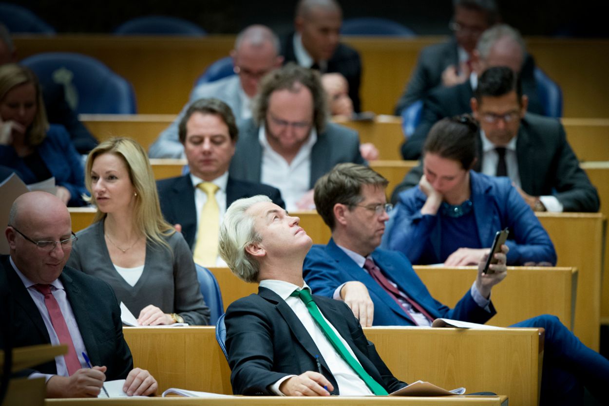 Afbeelding van PVV: 'onze vrouwen' meppen mag best