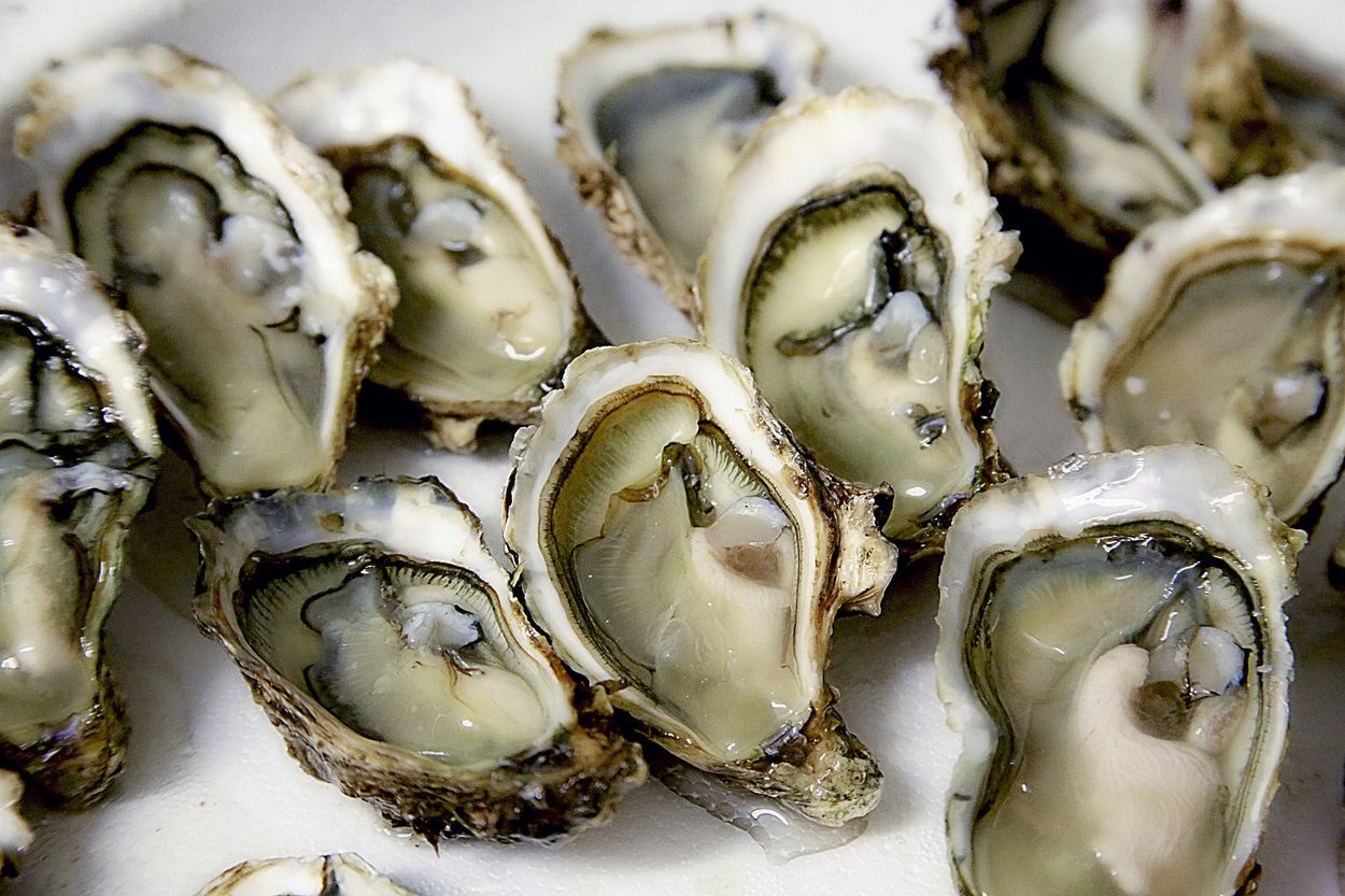 Afbeelding van Wie het klimaat wil redden, kan beter oesters eten dan kreeft