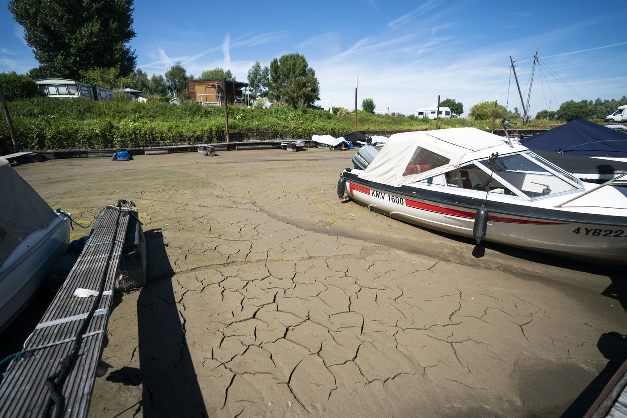 Afbeelding van Watertekort: ‘Denk goed na of je je auto moet wassen’