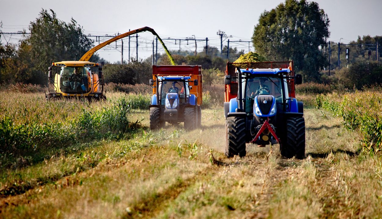 Afbeelding van EU buigt voor boerenlobby: landbouwhervorming mislukt