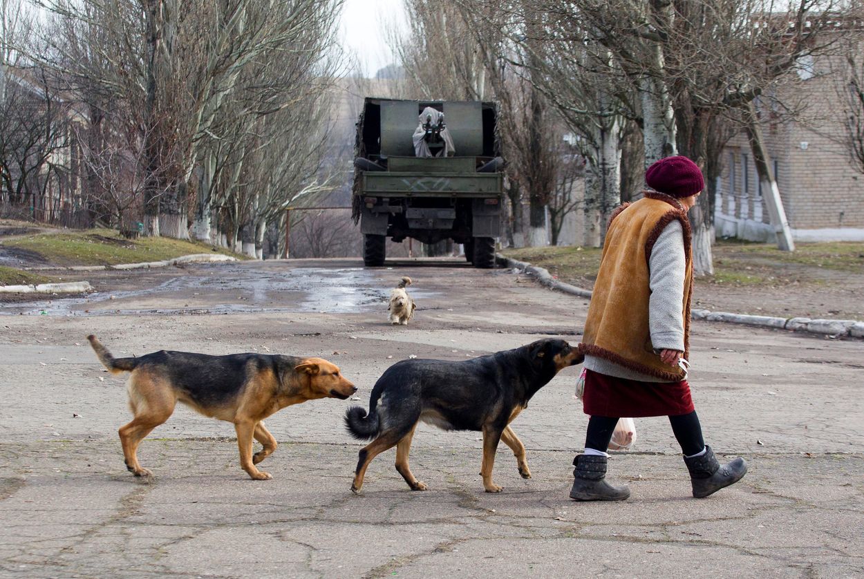 Afbeelding van De ongelijke behandeling van dieren uit Oekraïne