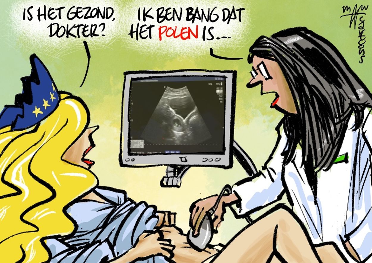 Afbeelding van Abortus haast onmogelijk in Polen