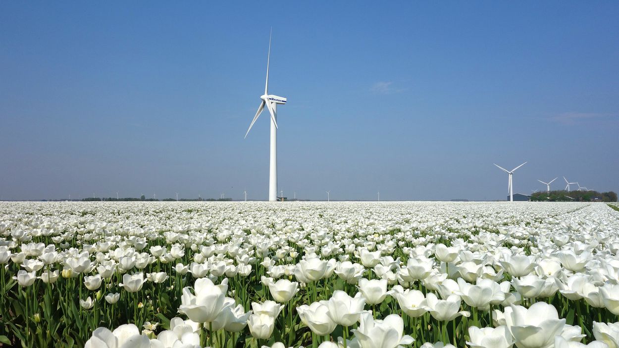 Afbeelding van Nederland Europees hekkensluiter bij hernieuwbare energie