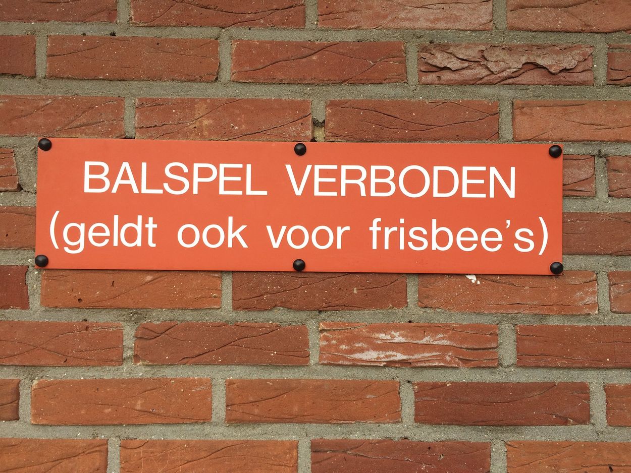 Afbeelding van Het succes van Lale Gül: Nederlanders lezen graag dat ze zelf deugen