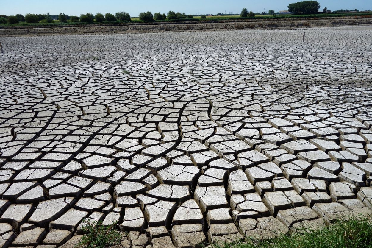 Afbeelding van Nieuwe droogte dreigt terwijl gevolgen van vorige zomer nog doorwerken