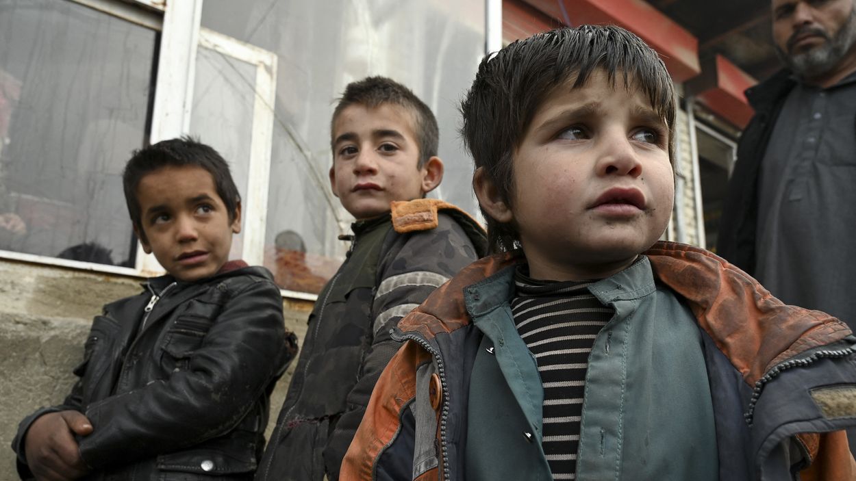 Afbeelding van Een jaar na de machtsovername van Kabul: miljoenen Afghanen in hongersnood