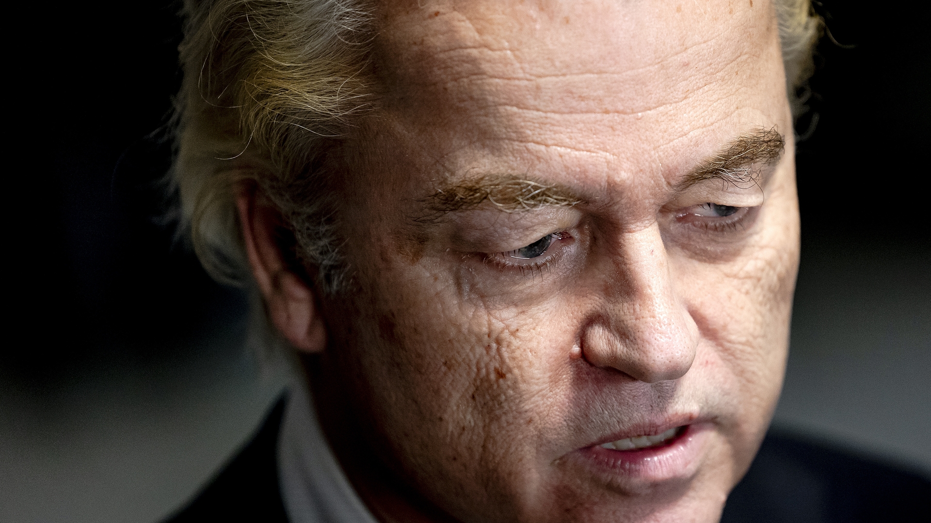 wilders