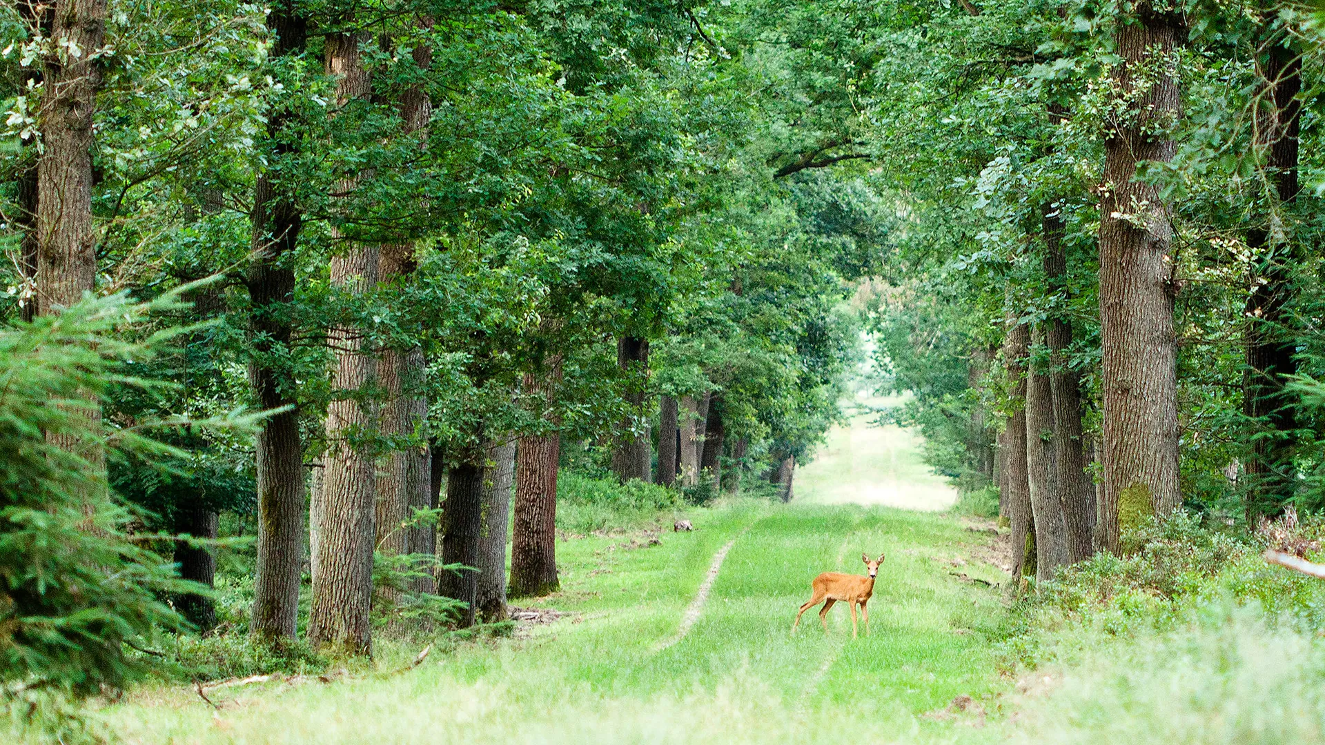 49922574217_3292f1c9f9_k