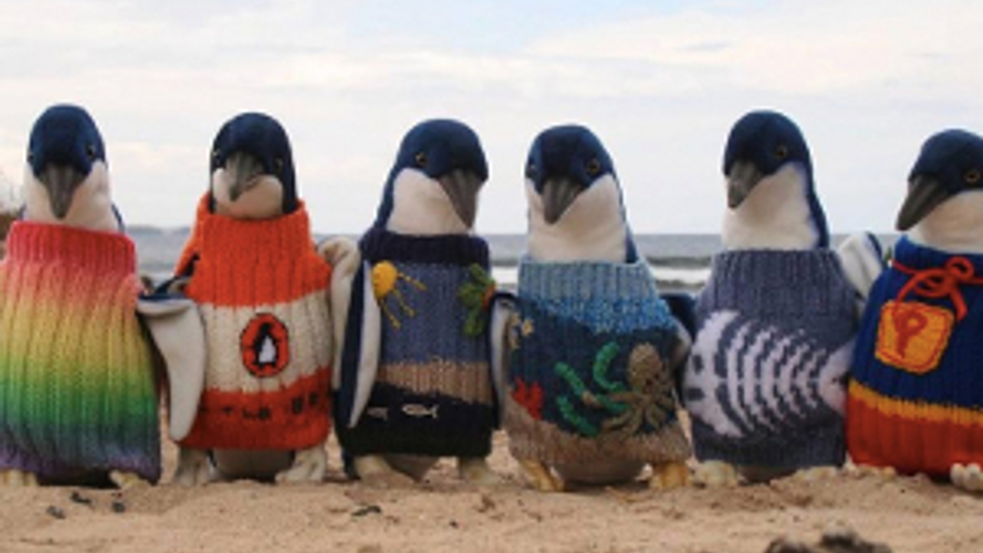 pinguins_300.jpg