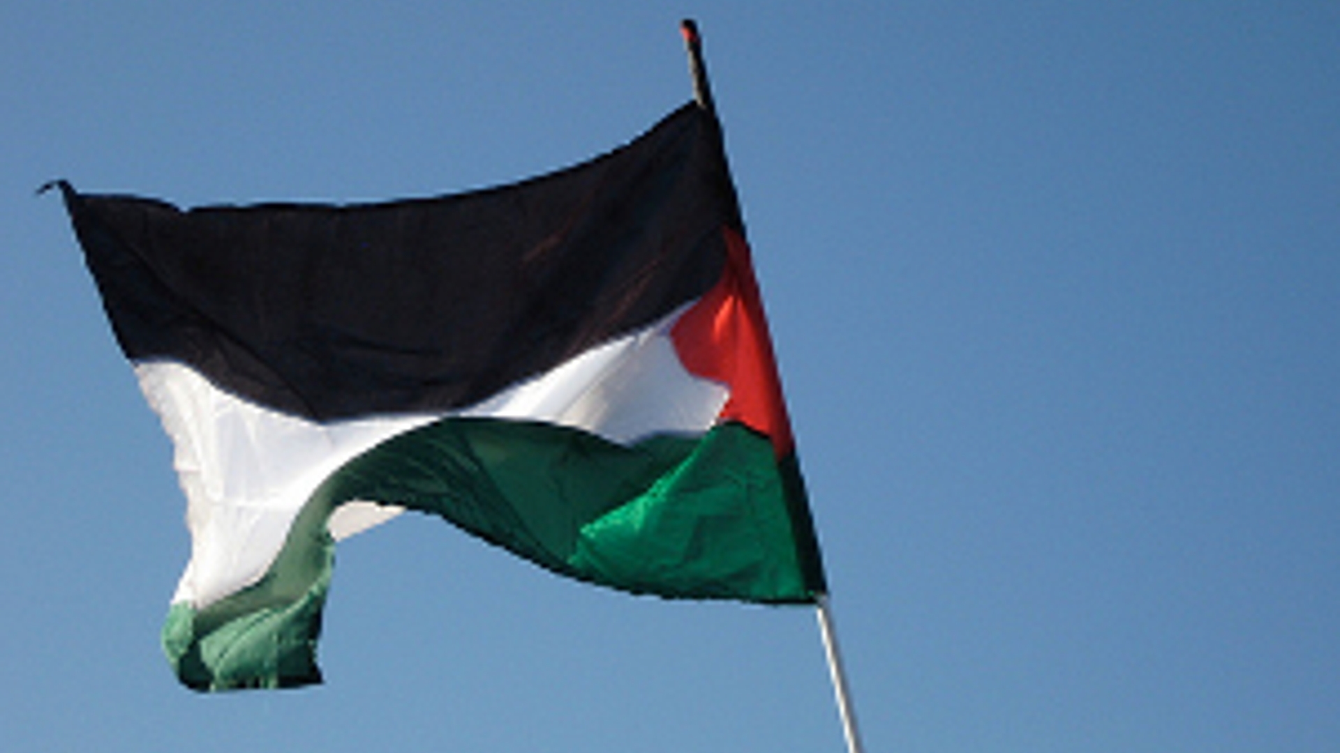 palestijnsevlag300.jpg