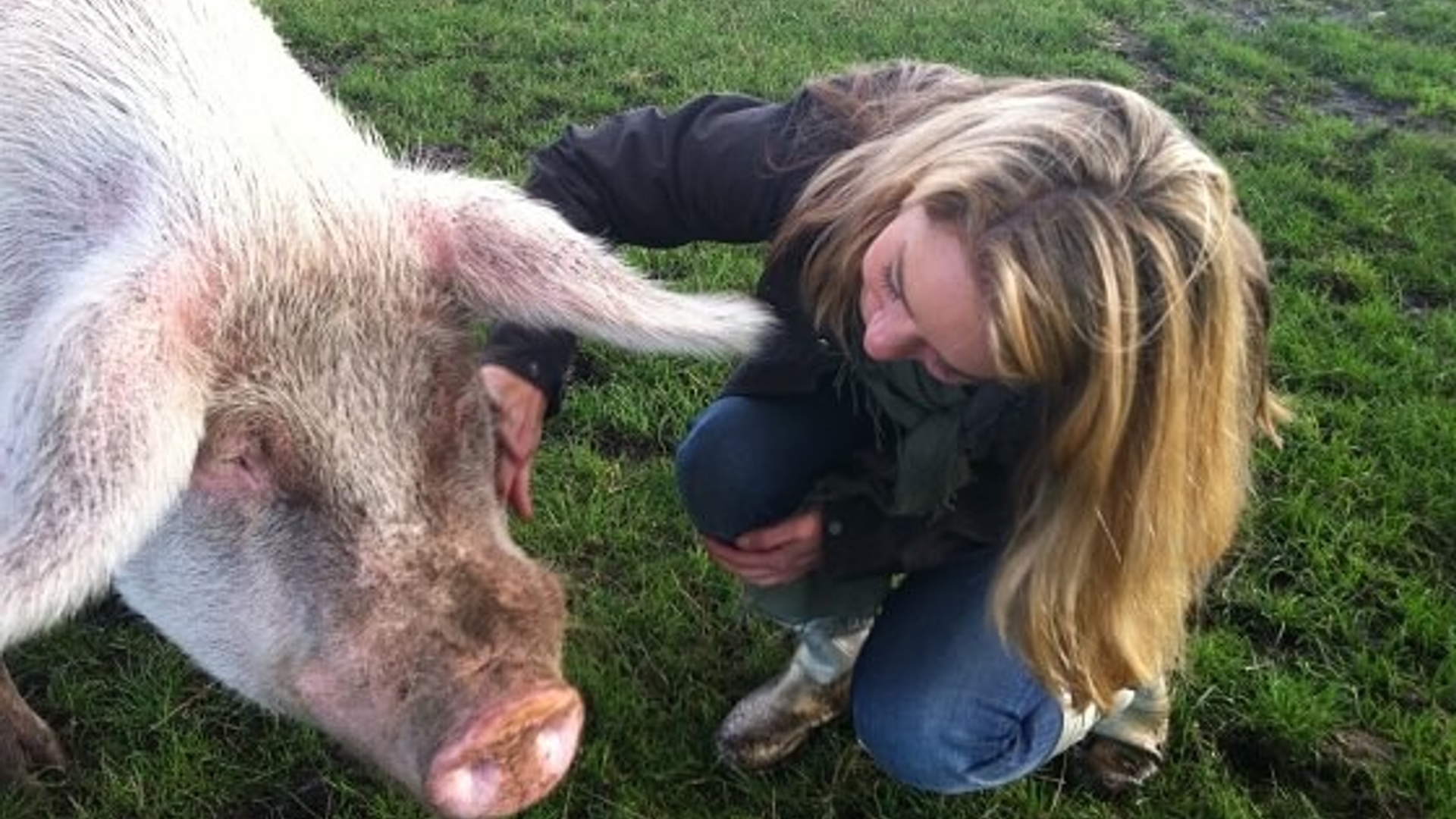 animalstoday-varkens-blog-Karen-3