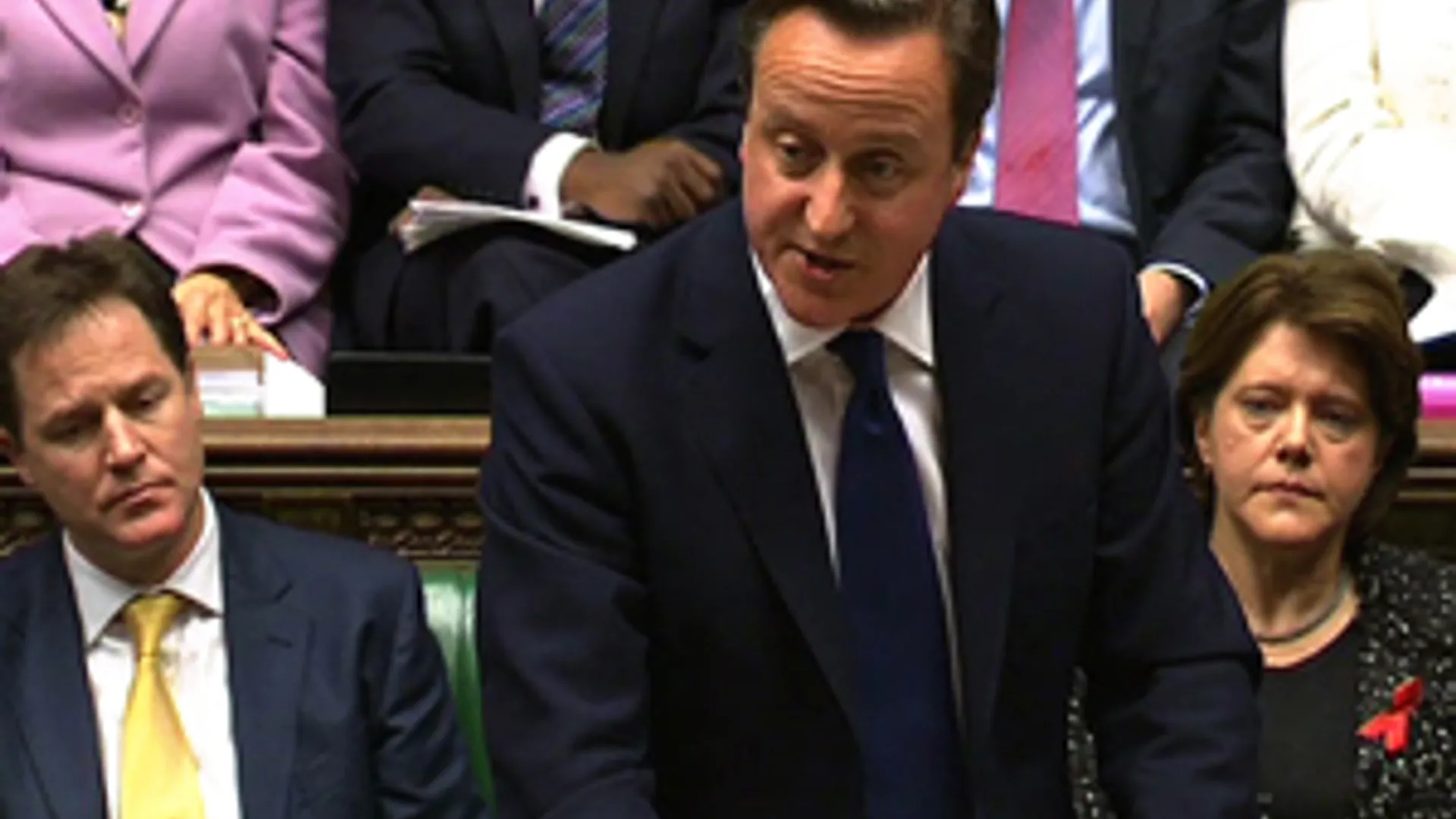 ANP-cameron_300.jpg