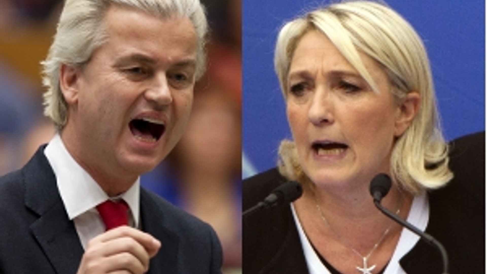 Wilders_LePen.jpg