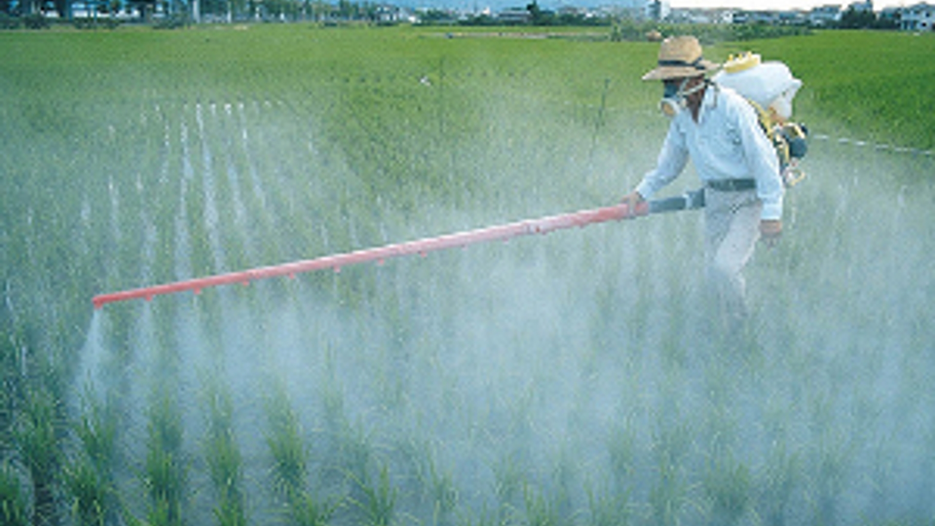 pesticiden300.jpg