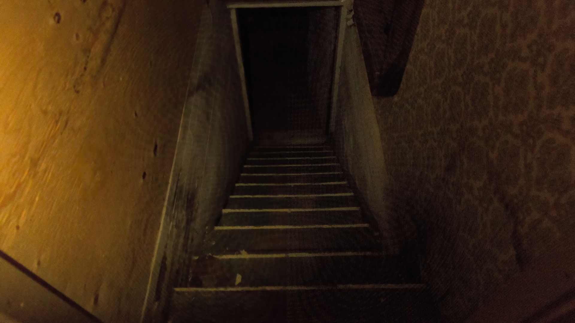 basement-creepy-dark-679577