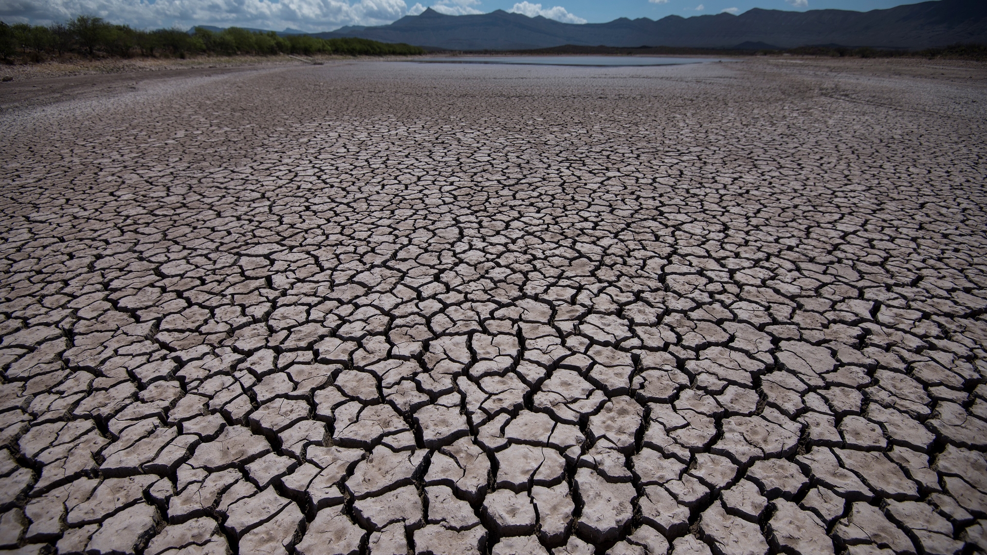 The drought in Mexico is due to the Hadley cell phenomenon