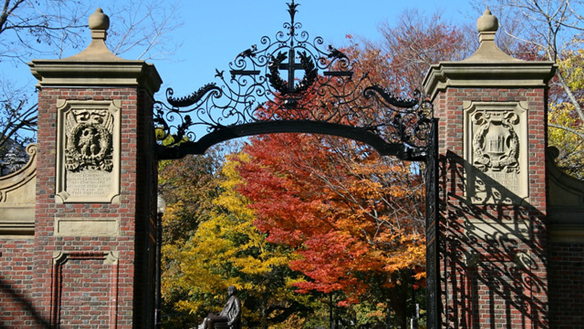 Harvard Gates, Fall #2