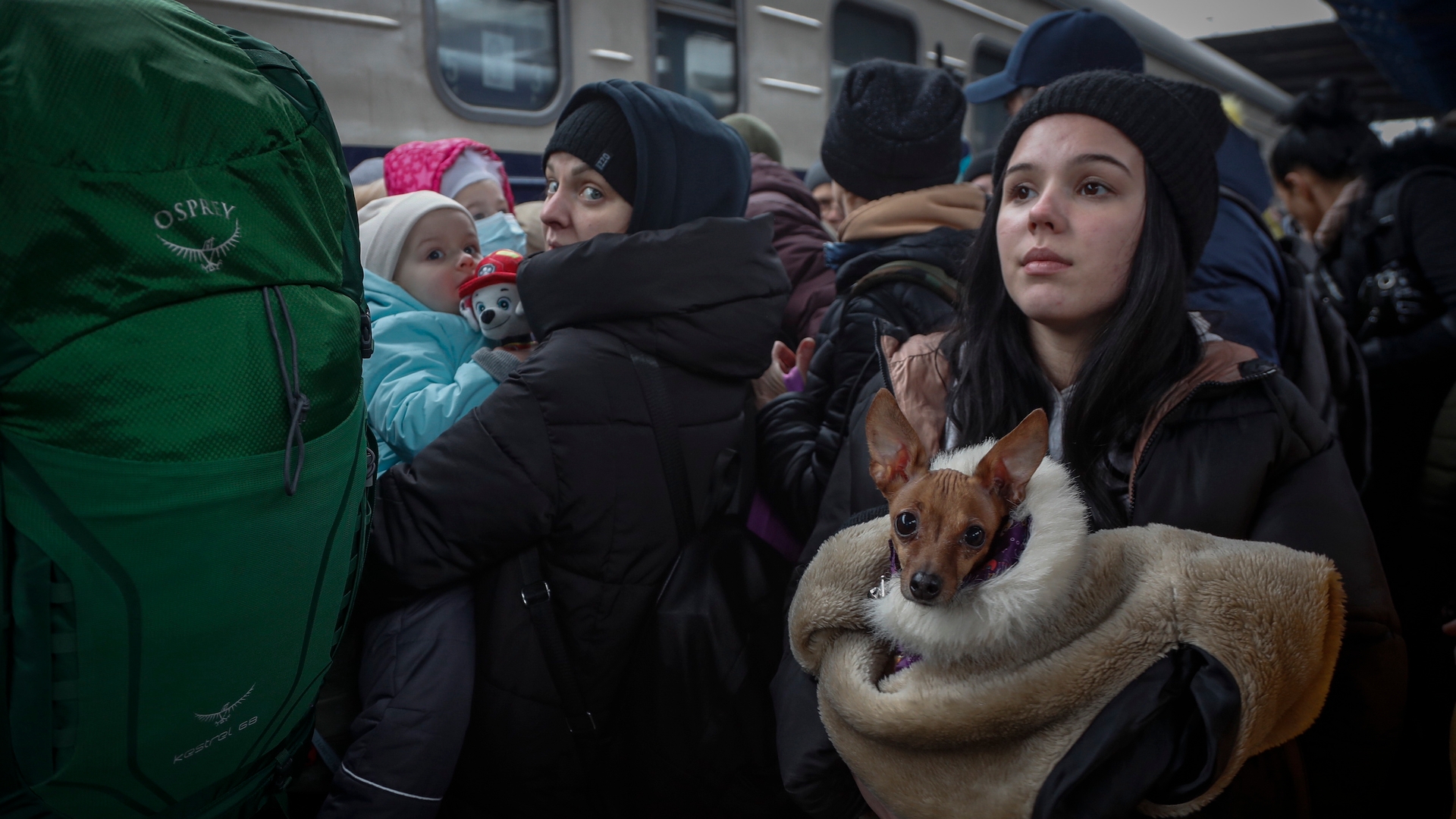 Ukrainians swarm railway station as they try to flee Kyiv