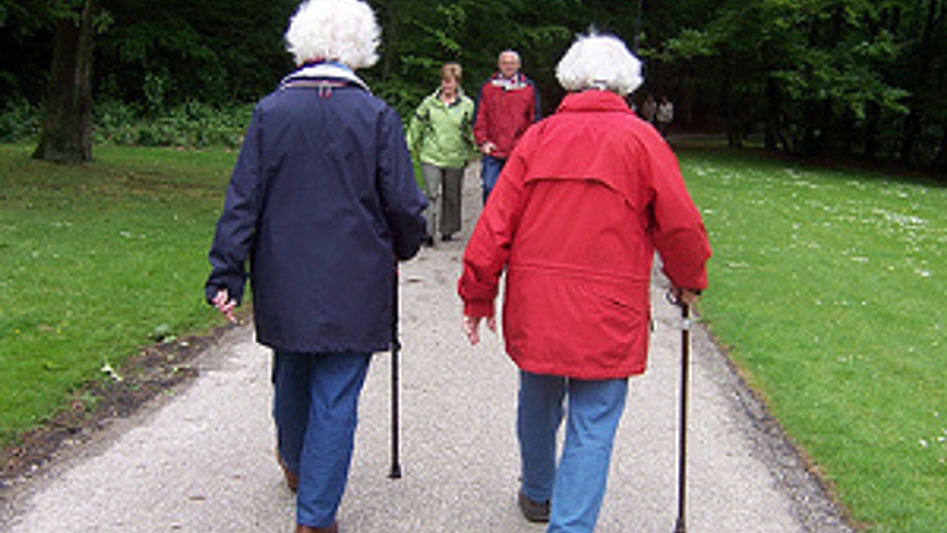 bejaard-wandelen-300px.jpg