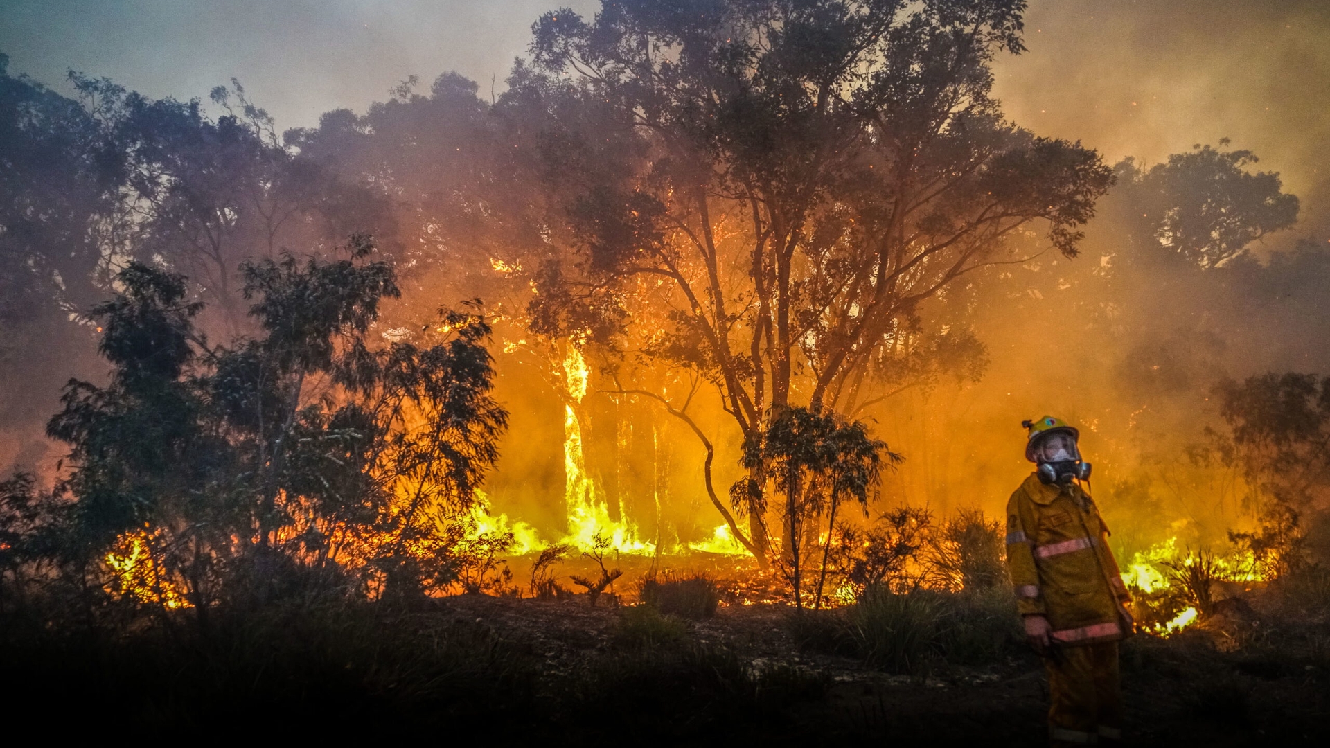 Out of control Calgardup Bushfire in the Margaret River region of Western Australia