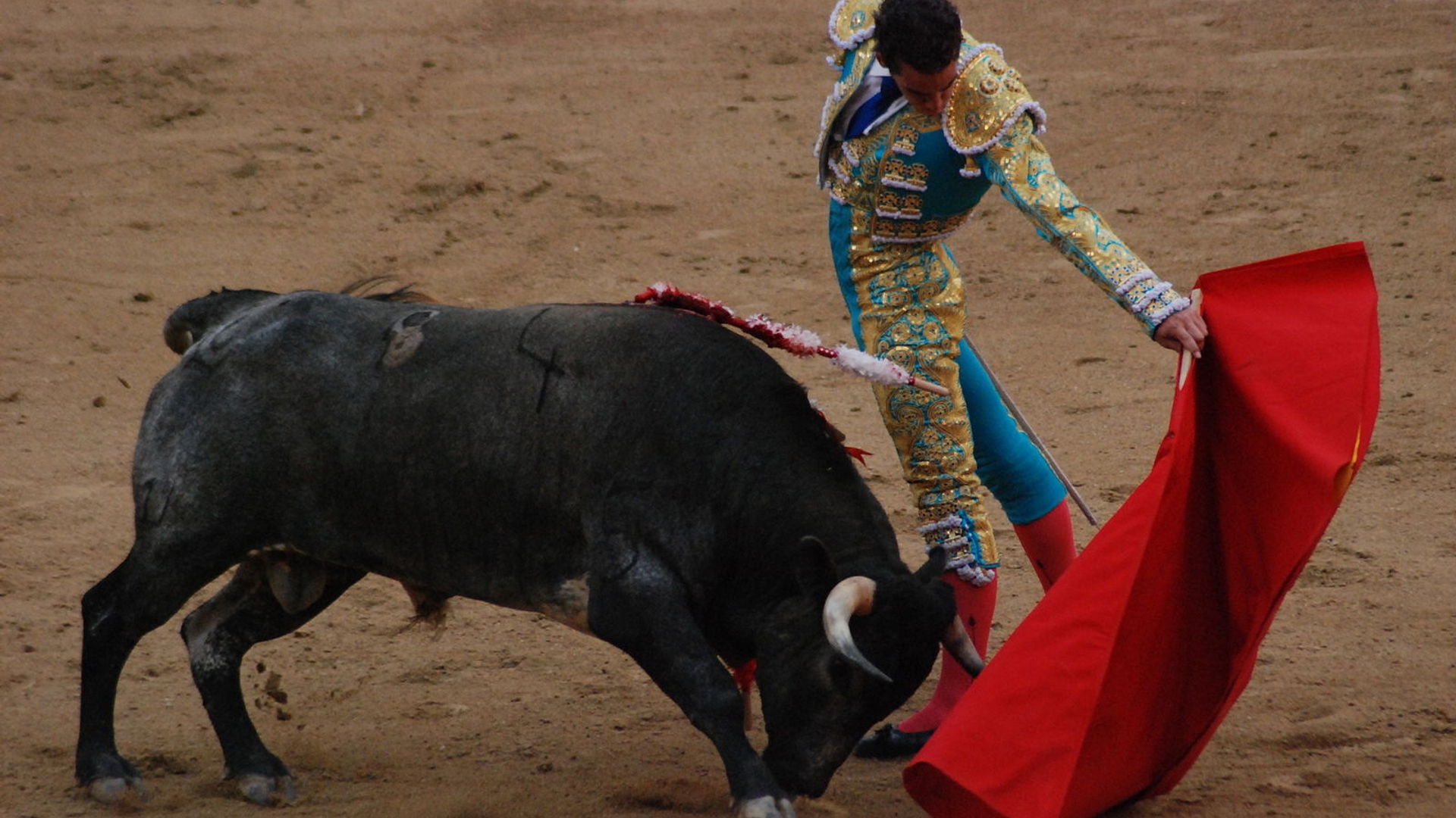 Madrid_Bullfight