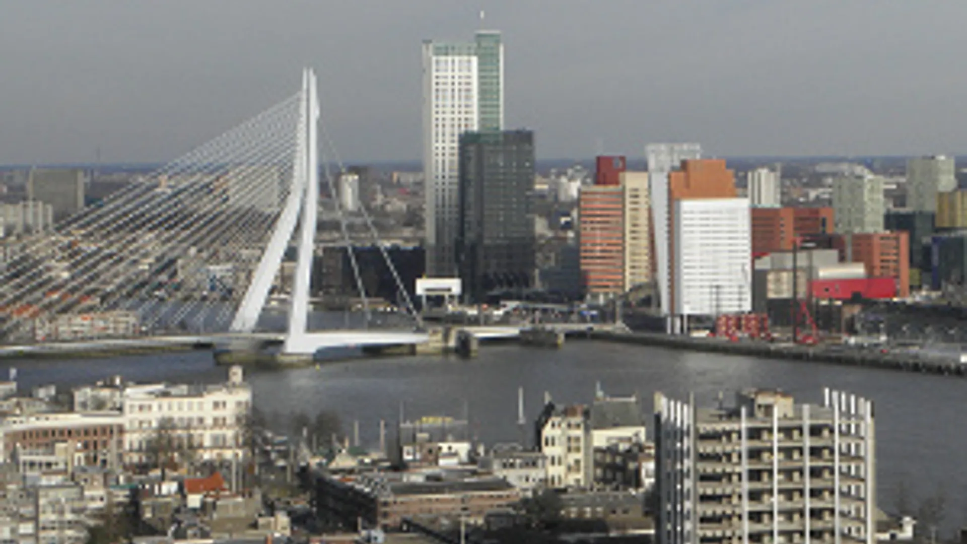 rotterdam_300.jpg